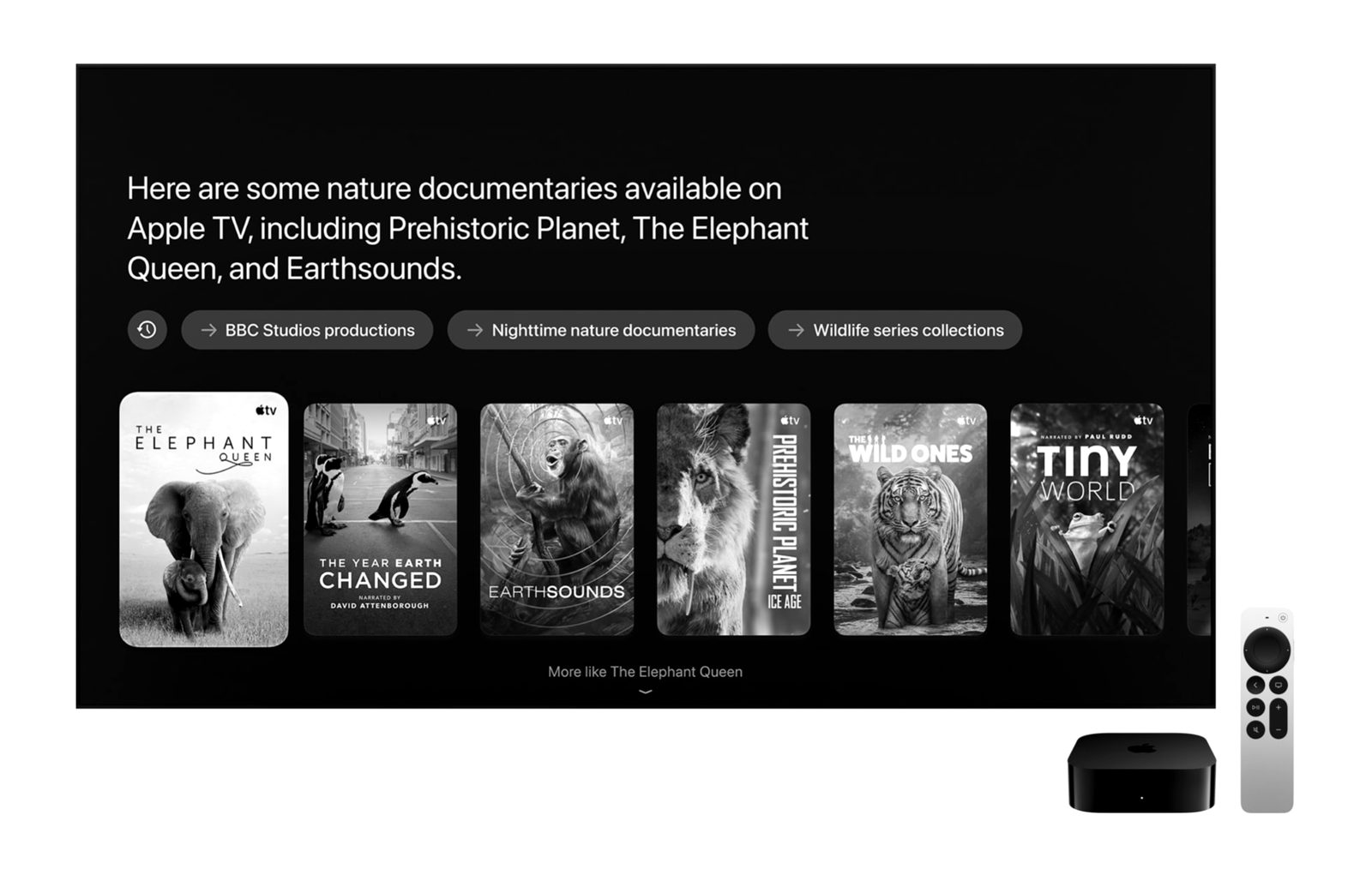 Siri AI mostrando sugestões na tela do Apple TV